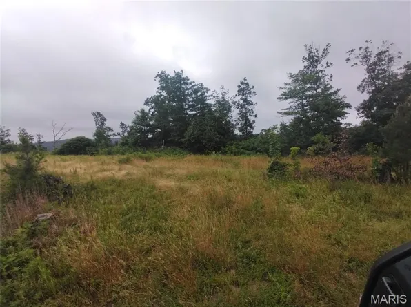 TRACT Four Off Hwy #O, Belleview, MO 63623