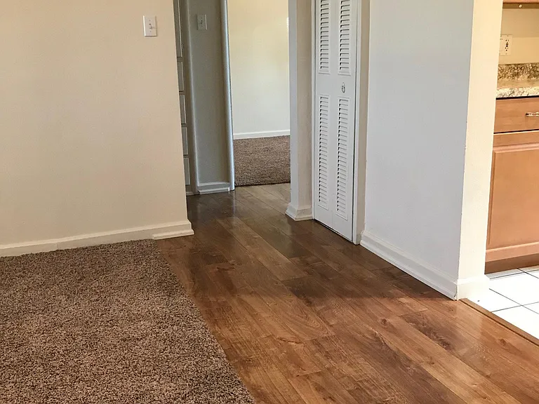 Laminate Flooring in High Traffic Areas (Contrast between flooring & carpet is more pronounced)