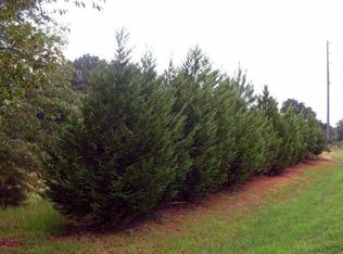 7215 Whitmire Rd #B, Cumming, GA 30028