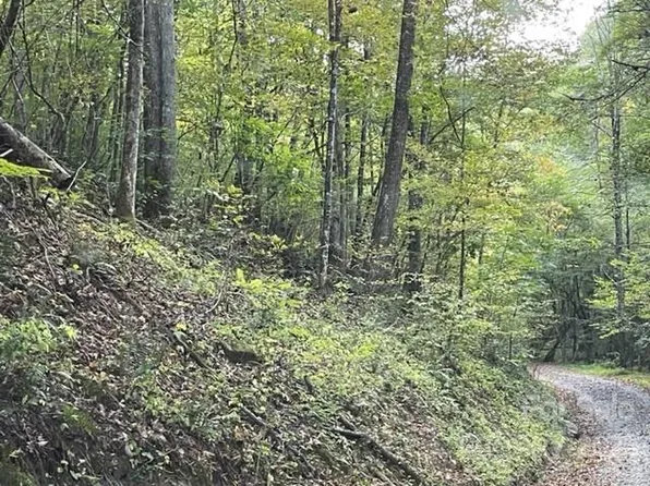 0 Sandman Way, Mars Hill, NC 28754