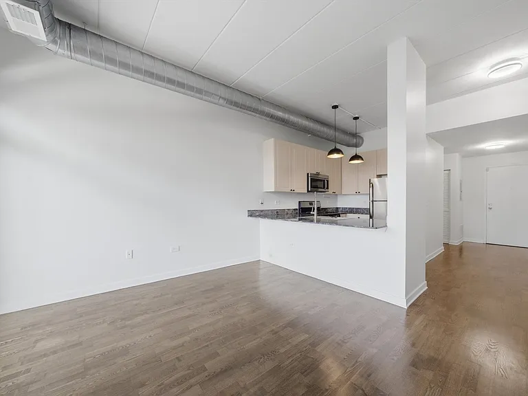 1155 W Madison St #507 — Photo 10