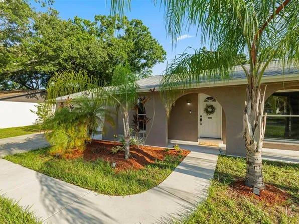 4307 Foxglen Ln, Tampa, FL 33624