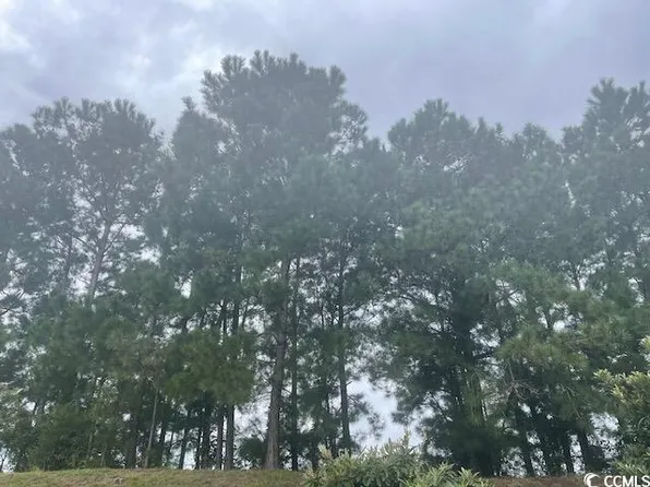 TBD Della Rd. #N/W Hwy 90, Longs, SC 29568