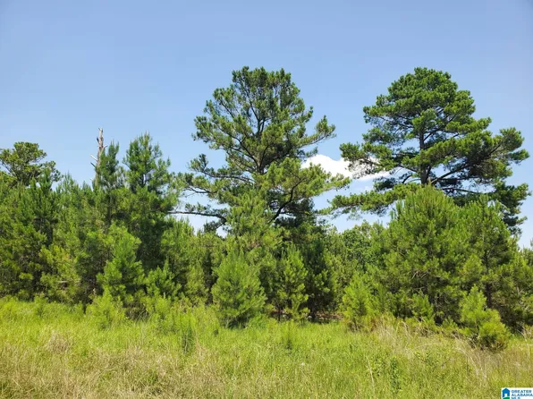 10530 County Road 16 #1, Maplesville, AL 36750