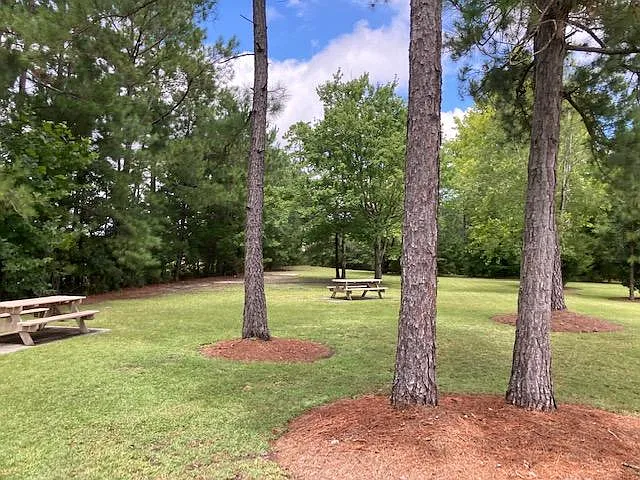 Community Picnic Tables, Open Field and Horse Shoes