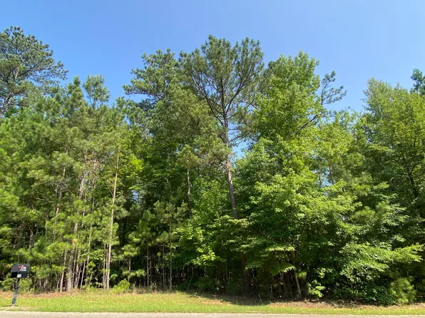 B39 L27 ANTIOCH Drive, McCormick, SC 29835