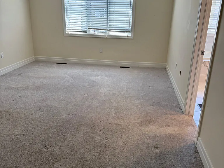 4492 Eclipse Way — Photo 8