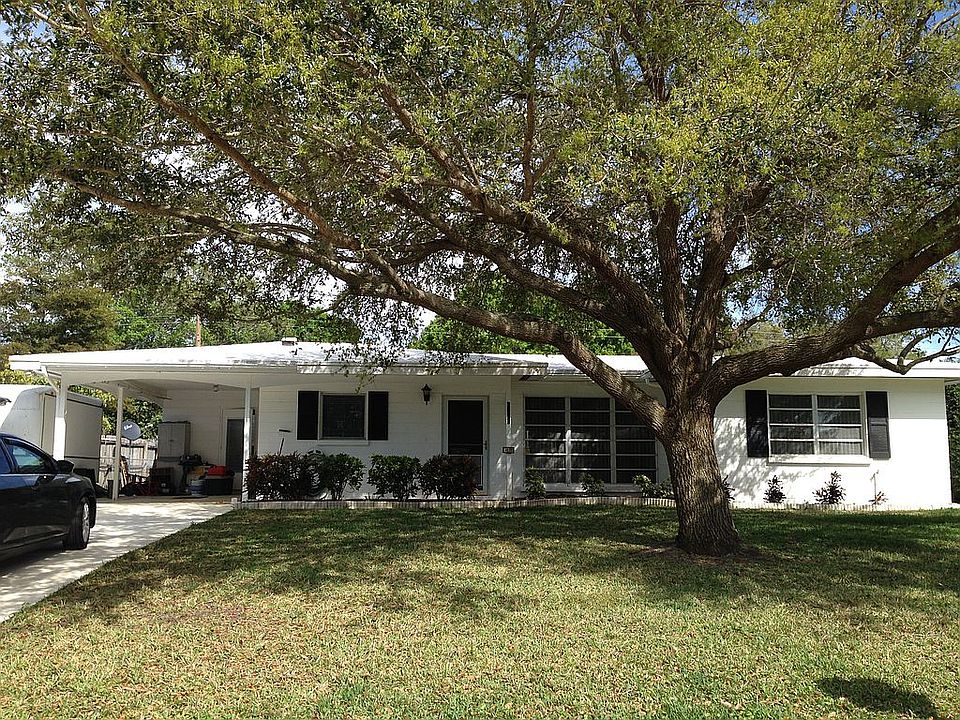 Beautiful shade tree