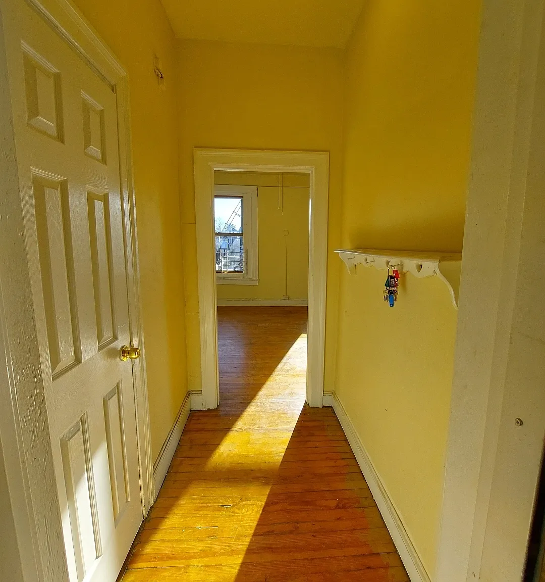 Studio, 485 sqft, $850 — Photo 2