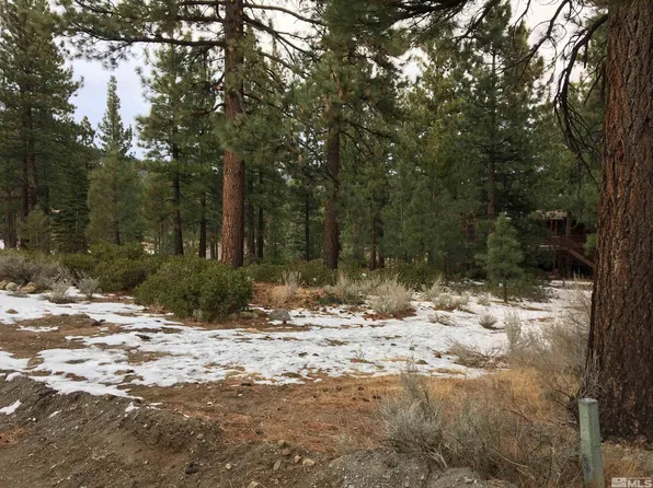 1200 Douglas Fir Dr, Reno, NV 89511