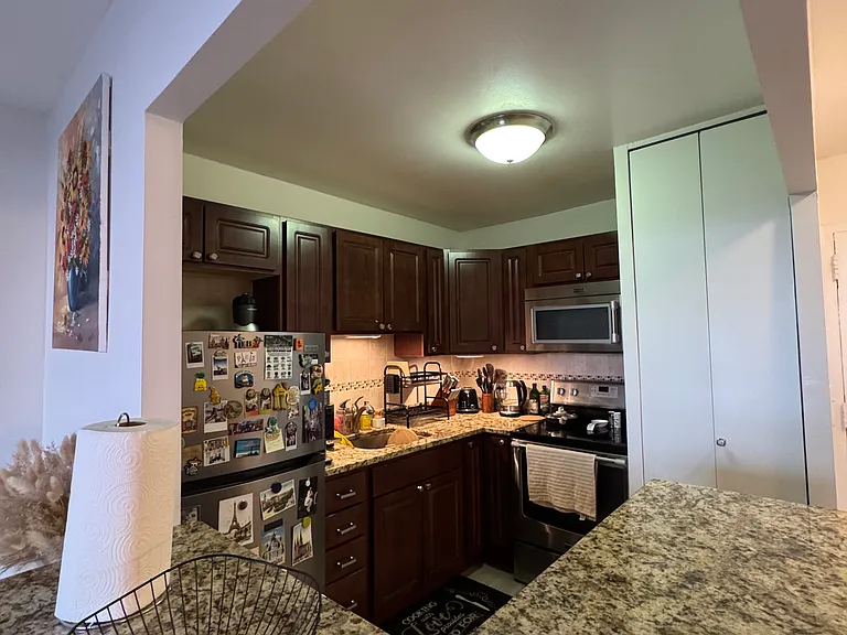 1455 N Sandburg Ter #1207 — Photo 13