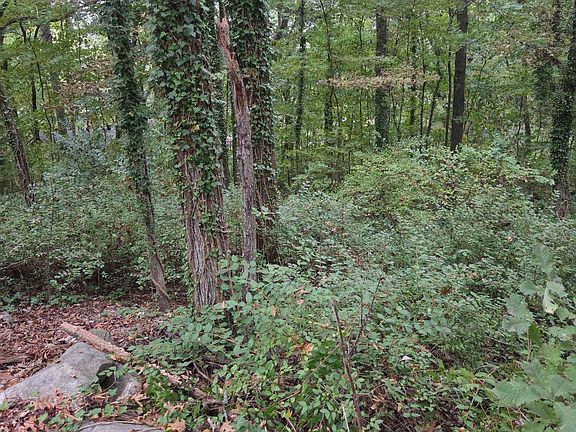 5th image of 703 Chambers Dr NE