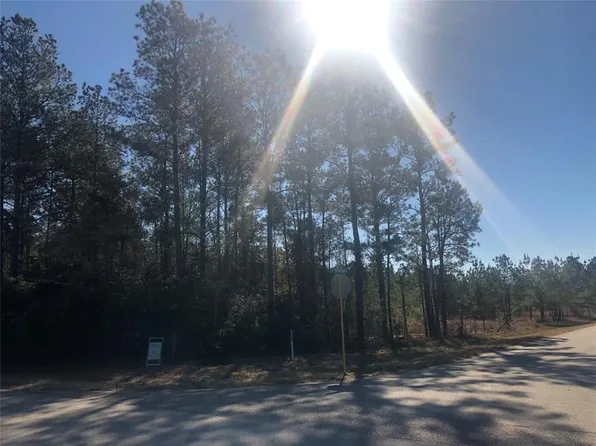 21322 Big Buck Dr, Cleveland, TX 77328