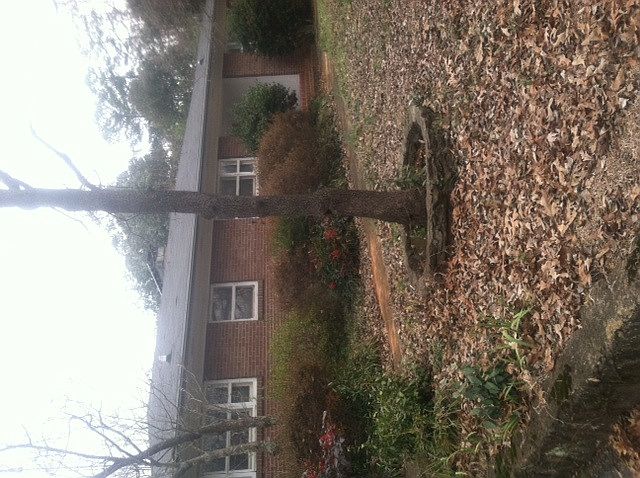 2nd image of 803 Asheville Hwy
