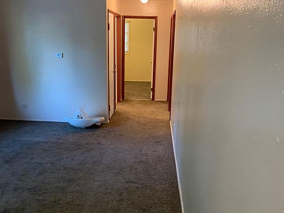 Living room and hall