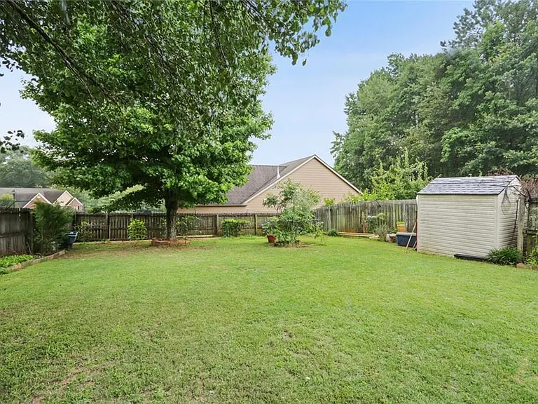 backyard 1