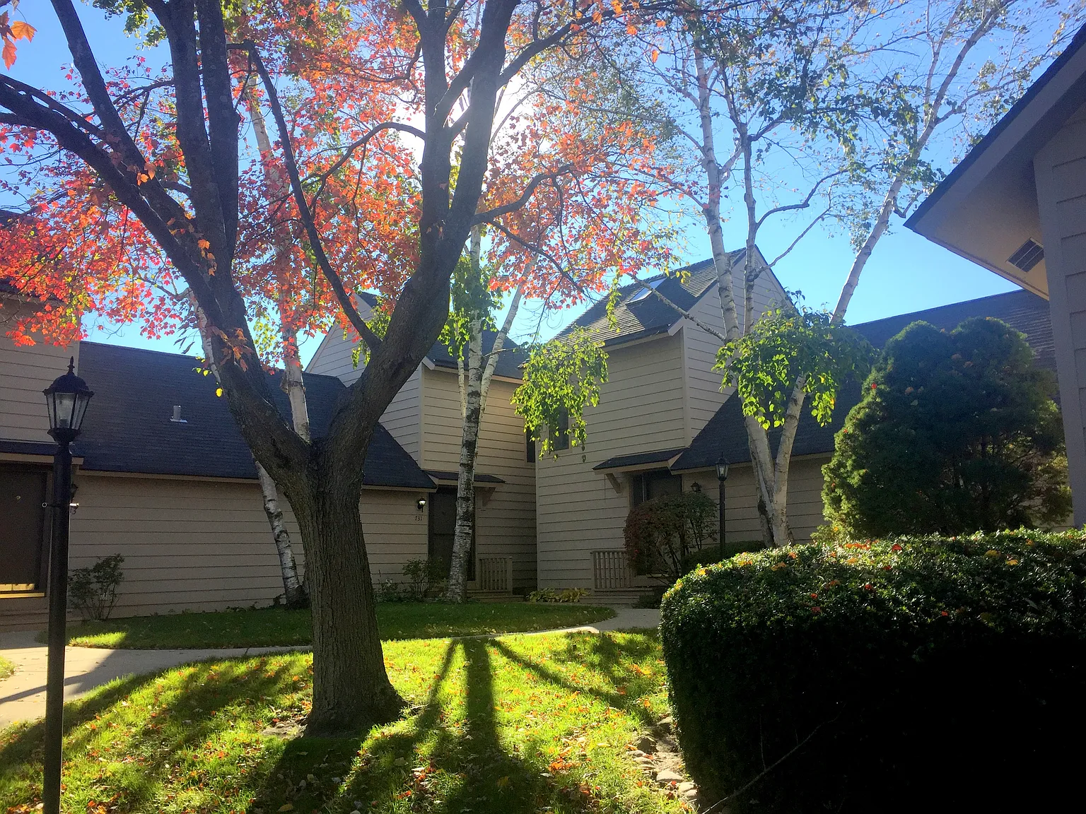 731 Shepard Ct photo 1