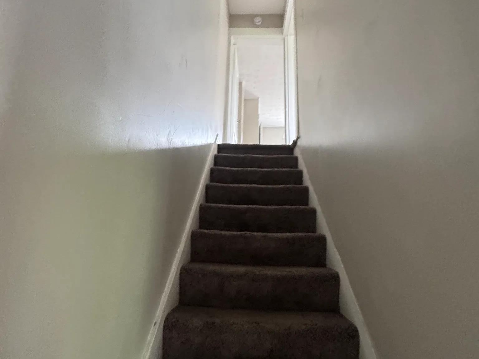 2 bed, $1,000 — Photo 4