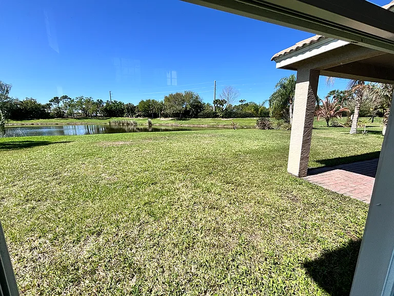 Other Backyard View