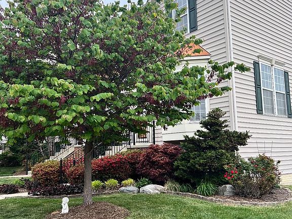2nd image of 29 Baltic Ln