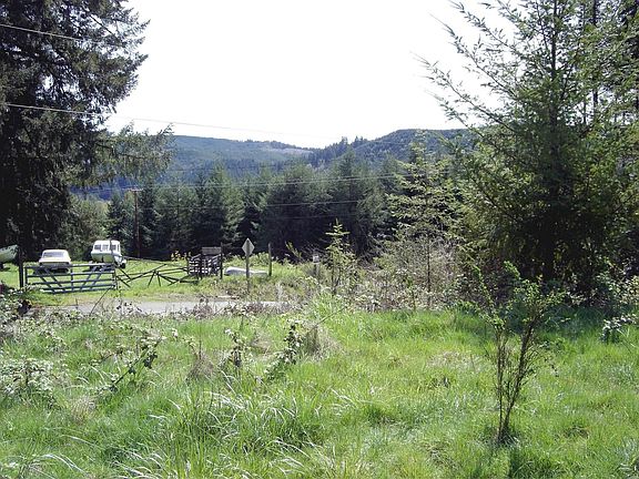 Another View from Shop