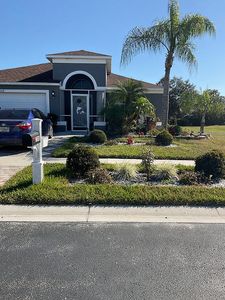 7248 Parkersburg Dr, Wesley Chapel, FL, 33545