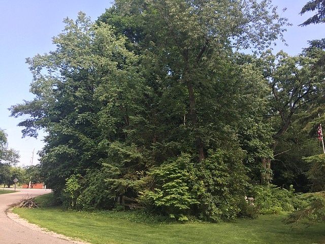 2nd image of 2680 Timber Ln