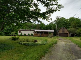 101 Doughty Rd, Parksville, NY 12768