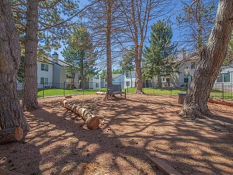 Ironwood at Palmer Park — Photo 3