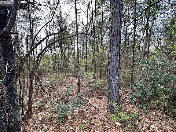 2nd image of 79 Wade Davis Rd Lot 2