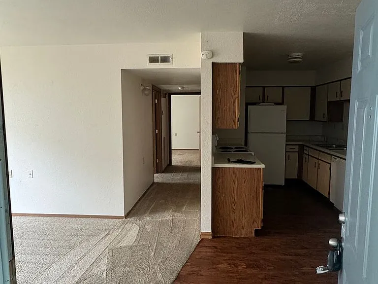 Douglas Apartments - 400 Judy Street - Heart of Branson — Photo 4