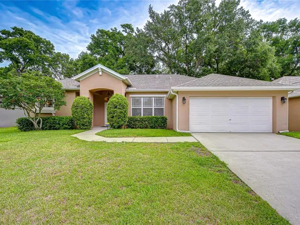 1142 Lumsden Trace Cir, Valrico, FL 33594