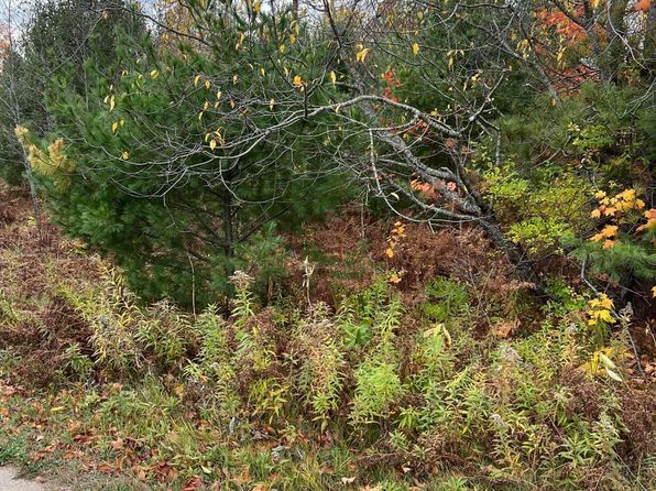 LOT 15 Sherry Lynn Dr LOT 15, Engadine, MI 49827