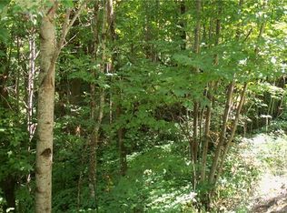 204 Slippery Rock Rd, Waynesville, NC 28785