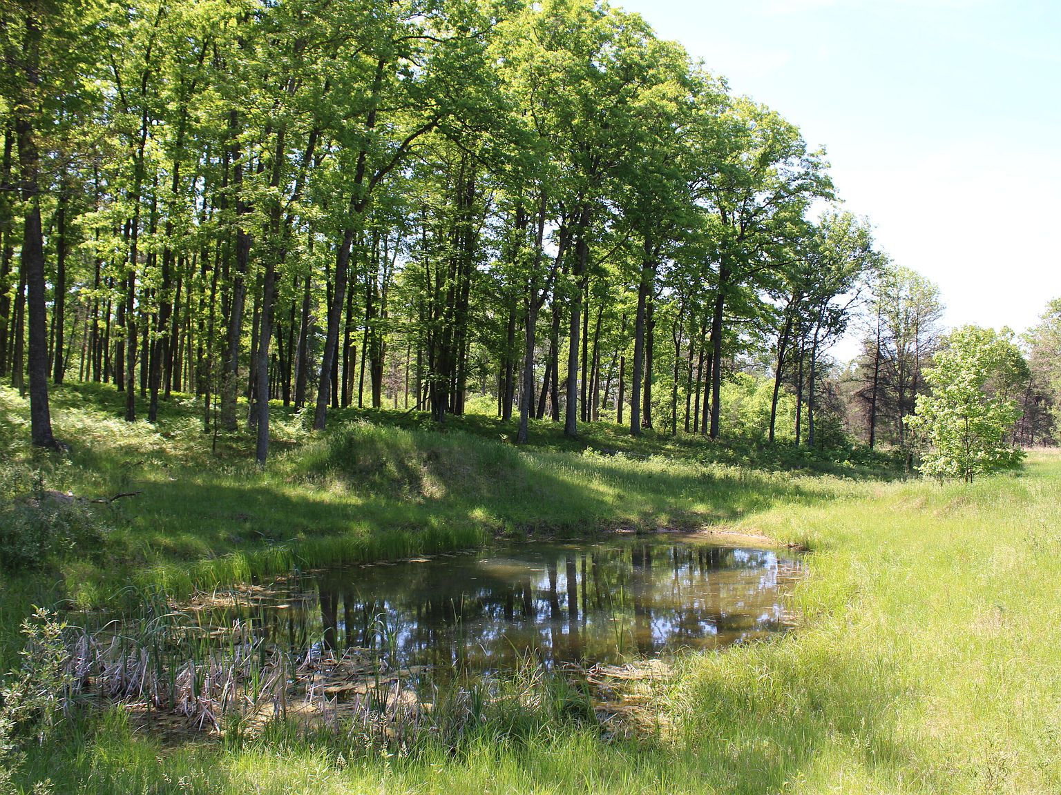 Vl Vanwagoner Rd, Curran, MI 48728 Zillow