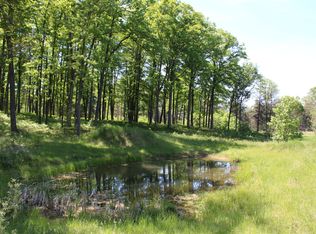 Vl Vanwagoner Rd, Curran, MI 48728