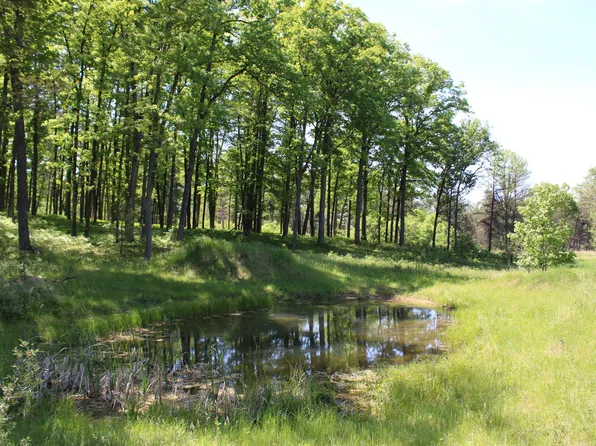 Vl Vanwagoner Rd, Curran, MI 48728