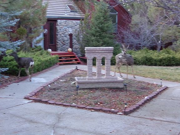 2nd image of 225 Lakeview Dr