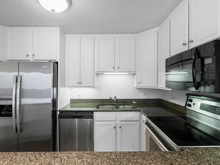 1345 N Dearborn St #15F — Photo 4