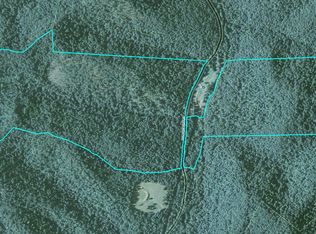 3339 Straight Fork Rd, Vanceburg, KY 41179