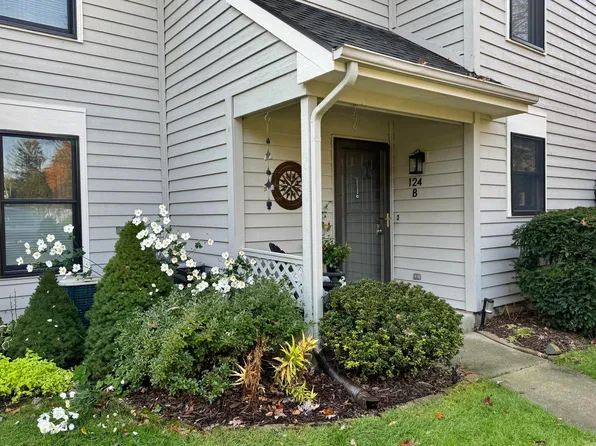 124 Elizabeth St #6, Saugatuck, MI 49453