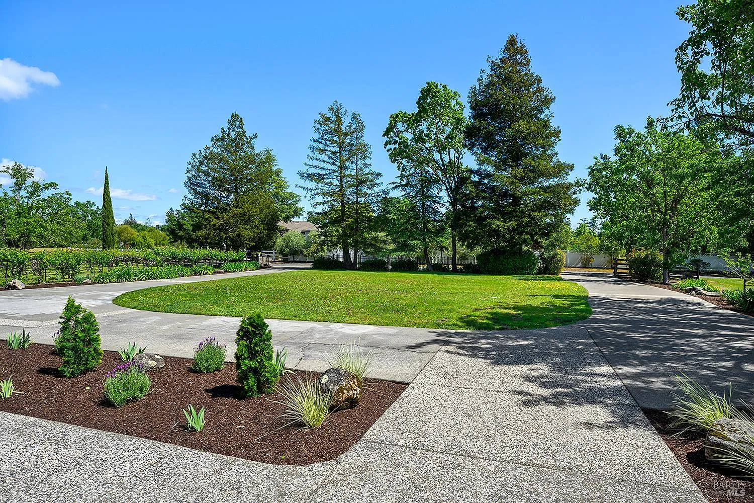 5533 Oak Meadow Drive - Photo 6
