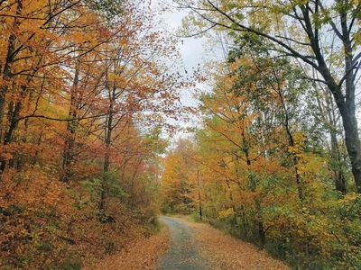 0 Lost Lane Dr, Tioga, PA, 16946