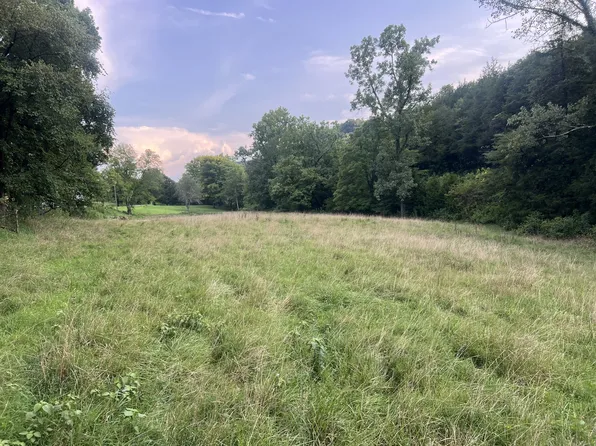 0 Club Springs Rd #263-lot 2, Elmwood, TN 38560