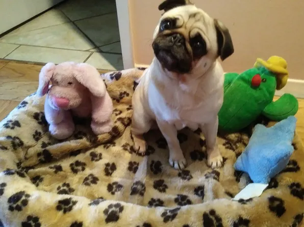 7000 Blvd East image 37 of 39