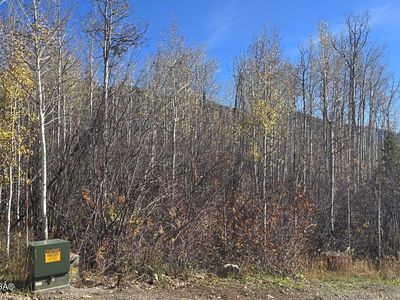 Cedar Dr, Thayne, WY, 83127