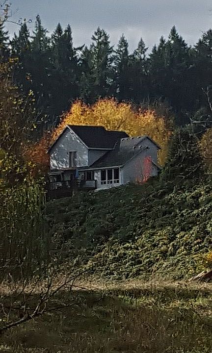 View from pond.