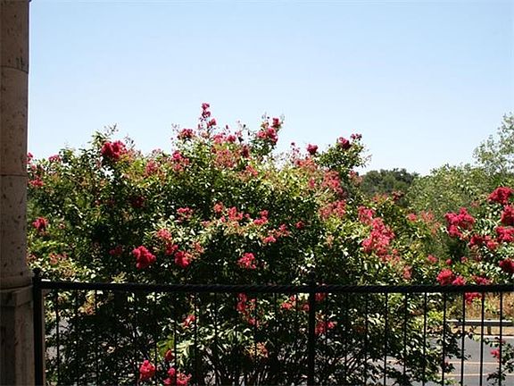 View from covered terrace looking towards the Blue Hole greenbelt.