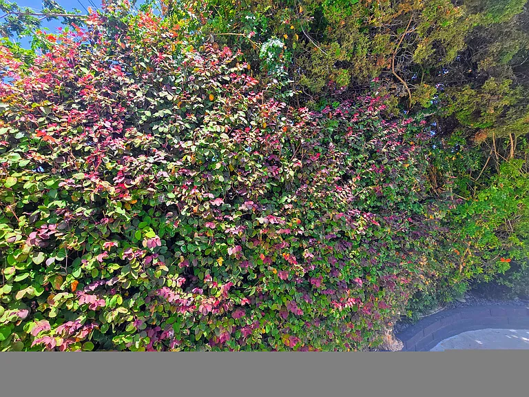 2548 E Wilson Ave — Photo 167