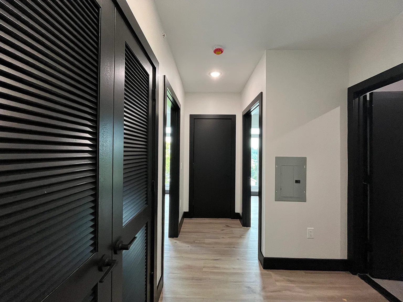 2 bed, 1000 sqft, $2,900 — Photo 4
